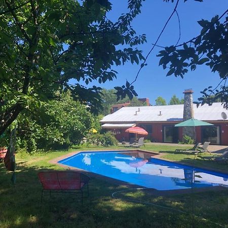 Alma Nativa Hostel Pucón Dış mekan fotoğraf