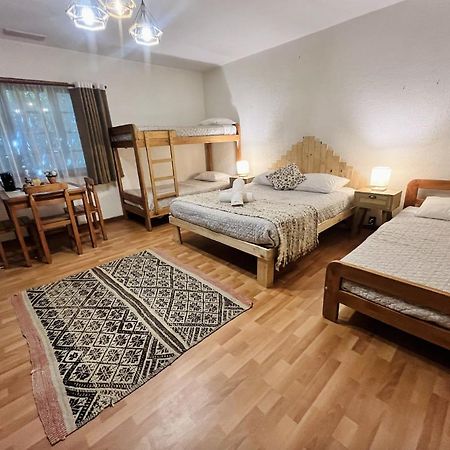 Alma Nativa Hostel Pucón Dış mekan fotoğraf