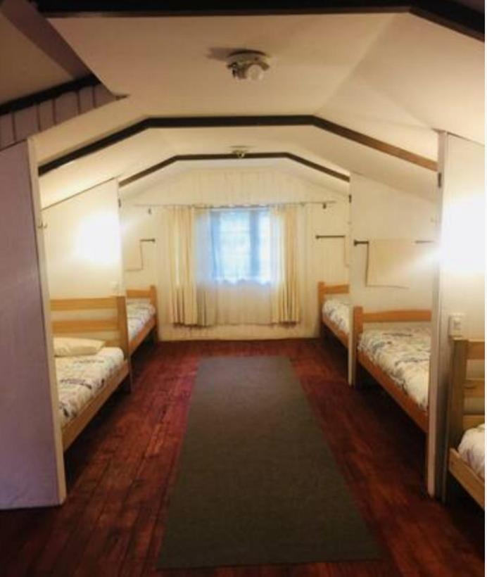 Alma Nativa Hostel Pucón Dış mekan fotoğraf