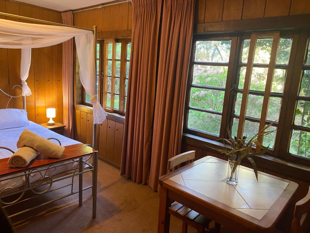 Alma Nativa Hostel Pucón Dış mekan fotoğraf