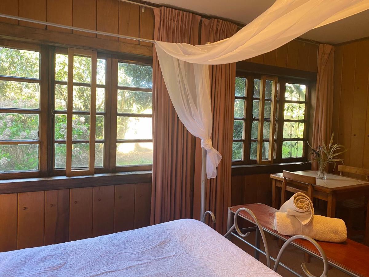 Alma Nativa Hostel Pucón Dış mekan fotoğraf