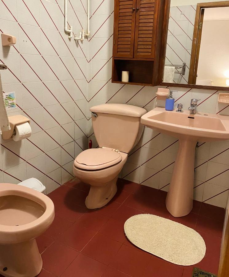 Alma Nativa Hostel Pucón Dış mekan fotoğraf