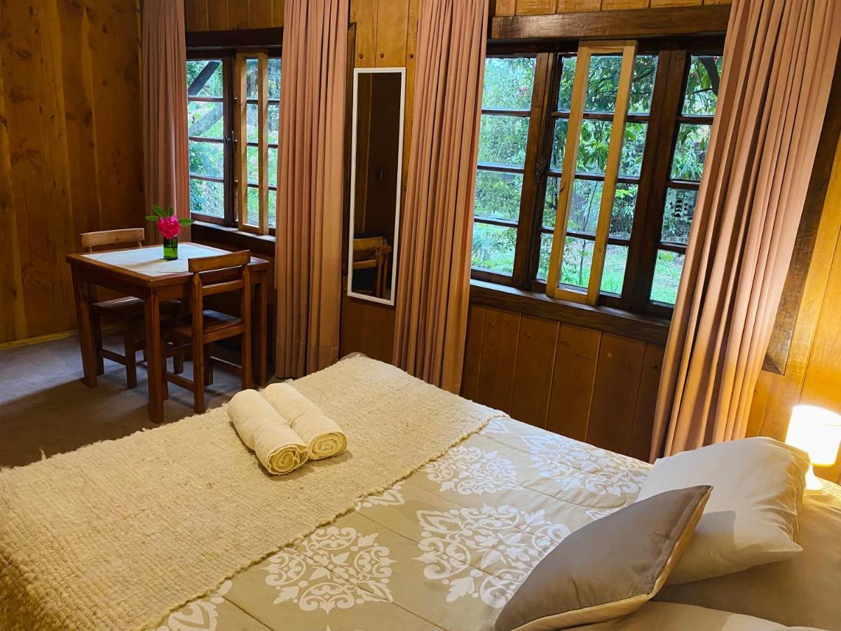 Alma Nativa Hostel Pucón Dış mekan fotoğraf