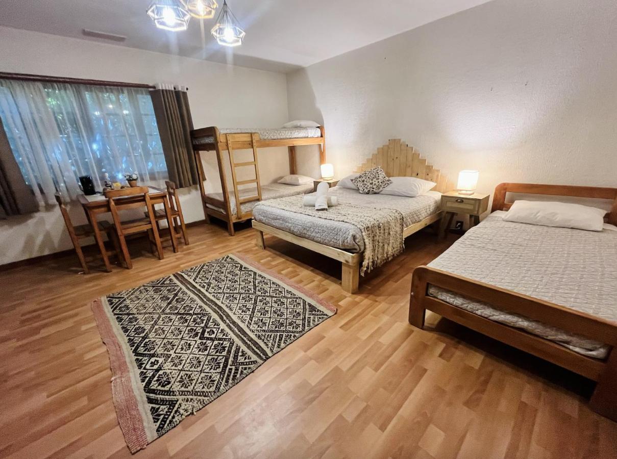 Alma Nativa Hostel Pucón Dış mekan fotoğraf
